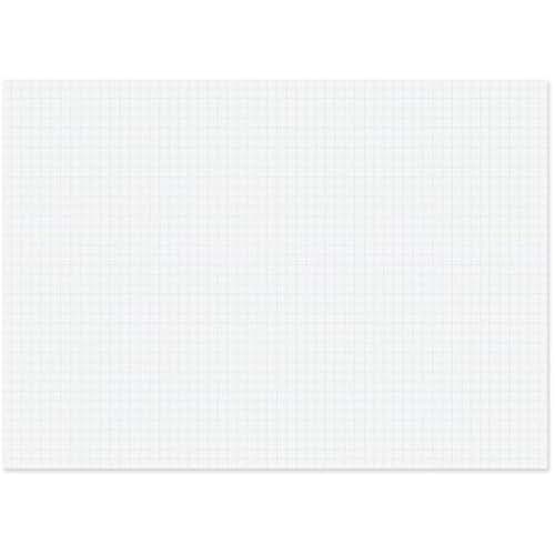 poster board with grid lines