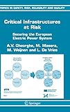 Critical Infrastructures at Risk: Securing the European Electric Power System (Topics in Safety, Ris by 