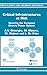 Critical Infrastructures at Risk: Securing the European Electric Power System (Topics in Safety, Ris by 