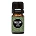 Edens Garden Spruce- Black Essential Oil, 100% Pure Therapeutic Grade (Undiluted Natural/Homeopathic Aromatherapy Scented Essential Oil Singles) 5 ml