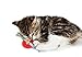 Catstages Kitty Chew Wheel Durable Dental Cat Toy, Purple