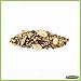 Pennington Pride Waste-Free Blend, Wild Bird Seed for Outside Feeders, With Sunflower Chips for Attracting Songbirds, No-Hull and No-Waste, 10-lb. Bag