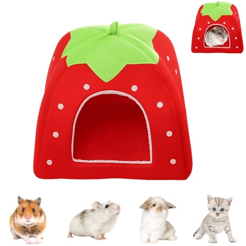 JazRvr 1 jouet cochon de mer, accessoire pour cochon de mer, cochon de mer, accessoire pour rat, lapin nain, hamster