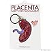 I Heart Guts Placenta Keychain – Baby’s First Roommate, Pregnancy or Birth Recovery Gift, Funny OB-GYN Keepsake, New Parent Present, Women’s Health Token