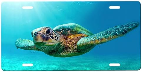 Sea Turtle Personalized Front Novelty Car Tag Sign