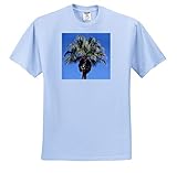 Jos Fauxtographee- Lone Palm Tree - One Palm Treee