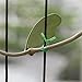 Shintop 328 Feet Garden Plant Twist Tie with Cutter for Gardening, Home, Office (Green)thumb 4