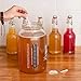 Fermentaholics Jun Kombucha Starter Culture – 12 fl oz – Includes USDA Certified Organic Jun SCOBY + Starter Tea – For Brewing with Green Tea & Honey – Makes 1 Gallon