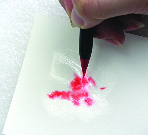 Akashiya CA200/20V  Sai Watercolor Brush Pen - 20 Color Set (1, DESIGN 1)