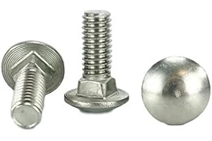 Chenango Supply Stainless 3/8-16 x 1inches Carriage Bolt (1inches to 5inches Lengths Available in Listing), 18-8 Stainless Steel,25 Pieces (3/8-16x1inches(25pcs))
