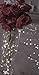 Fairy Lights Battery Operated - Non Blinking- 9ft 8in - Set of 1, Warm White