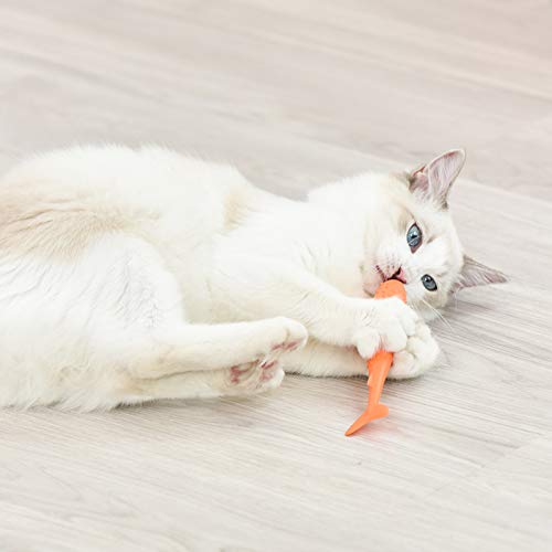 Catnip Toys Interactive Cat Fish Shape Toothbrush Refillable Catnip Bite Resistant Simulated Fish Silicone Teeth Cleaning Chew Pet Supplies for Kitten Kitty Cats Clean in The Dishwasher Blue & Orange