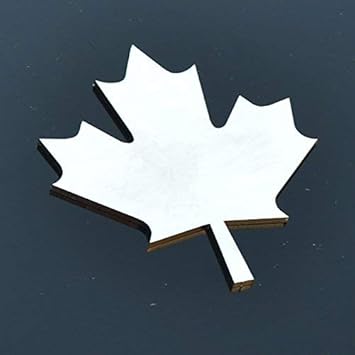 Amazon Com Stainless Steel Canada Maple Leaf Metal Decorative Hanging Wall Art Ornament Blased Frost Finish 24 Tall Automotive
