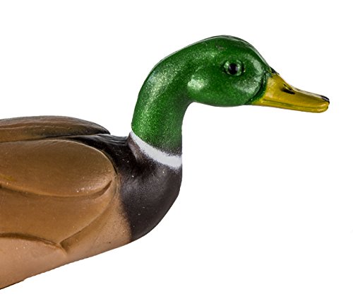 Safari Ltd Safari Farm Mallard Duck (Male)