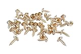 44pc 8mm Mini Brass Hinge Replacement Wood Screws - Great for Arts & Crafts