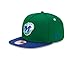 NBA Dallas Mavericks 9Fifty Turnover Snapback 2 Tone Cap, Hardwood Classic, Green/Blue