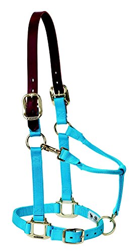 Weaver Leather Nylon Adjustable Breakaway Horse Halter, Large, Hurricane Blue