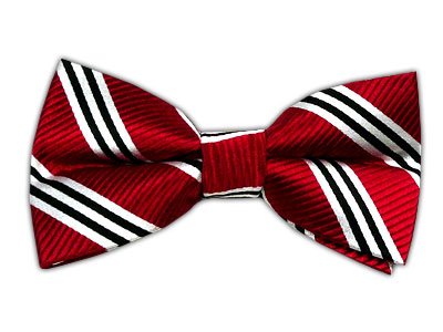 THE TIE BAR 100% WOVEN SILK RED STRIPED SELF-TIE BOW TIE