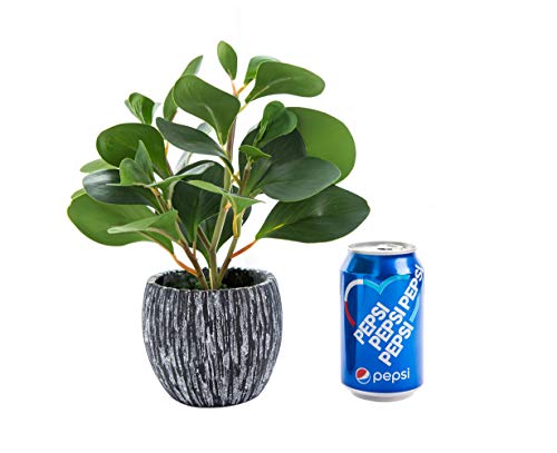 AlphaAcc Mini Potted Artificial Plants Real Looking Plastic Fiddle Leaf Fig Plant with Rustic Black Cement Planter for House Office Desk Decor