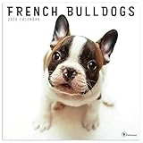 2020 French Bulldogs Wall Calendar by 