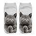 Womens Girls 3D Novelty Colorful Funny Cat Pug Ankle Socks, Crazy Cute Cartoon Low Cut Kitty Socks 5 Value Pack