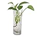 Cylinder Glass Wall Hanging Vase Bottle for Plant Flower Decorations