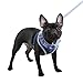 Puppia Authentic Vivien Harness, Royal, Medium
