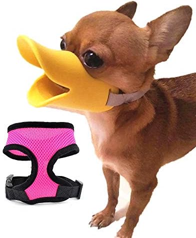 duck beak dog muzzle