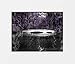 Purple Gray Wall Pictures for Bathroom, Bedroom, Purple Rose Flower, Decorative 5x7, 8x10 Home Decor Picture Options