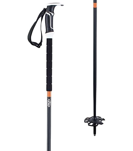 Amazon.com : Backcountry Access Scepter Adjustable 4S, Color