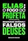 Livro Elias: o fogo do profeta - desafiando impérios e falsos deuses (Heróis nas narrativas bíblicas)