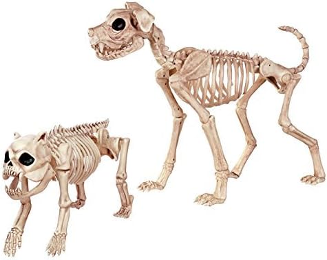 Crazy Bones Set of 2 Skeleton Dogs- Bonez and Buster by Crazy Bones