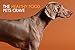 Addiction Country Chicken & Apricot Grain Free Dehydrated Dog Food, 8 Lb.