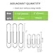 Paper Clips, OUHL 450 Pieces Silver Paperclips Assorted, Medium 28mm and Jumbo Sizes 50mm, Office Clips for Work School Home Use