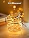 TaoTronics LED String Lights,Christmas Decorations Lights 33ft 100 LEDs USB Powered Warm White Dimmable Copper Wire String Lights,8 Lighting Modes,15 brightness levels, Remote Control, IP65 Bendable
