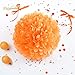 NICROLANDEE Halloween Party Decorations - 16Pcs Orange Black Tissue Pom Pom Paper Lantern Honeycomb Ball Kit for Halloween Theme Party, Horror Party, Trick or Treating, Birthday Party Supplies