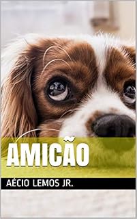 Livro Amicão
