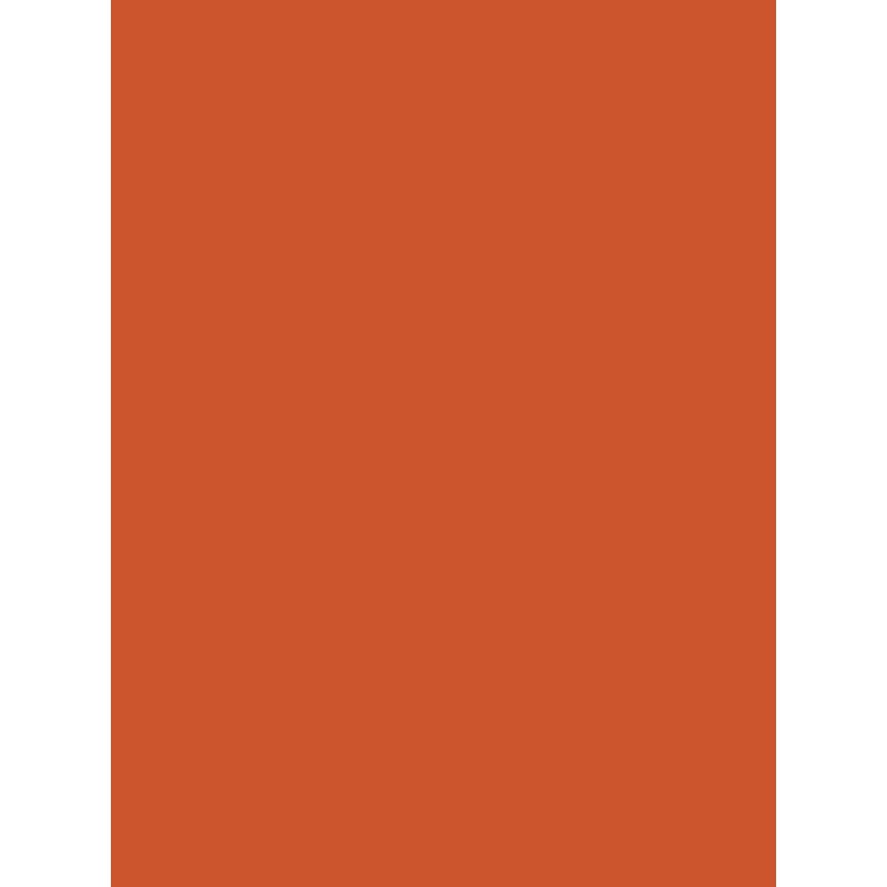 Clairefontaine 384558C Pack of 25 Sheets Coloured Poster Paper 90g/m² Format 60x80cm Cutting Writing Collage Creative Activity Adults Children Colour Orange — image 1