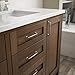 Franklin Brass Lombard (10-Pack) Cabinet Handles 5-1/16