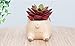 Cuteforyou Succulent Pots,Cute Dog Shaped Flower Planters, Pencil Holders,Desk Accessories, Makeup Brush Storage Stand,Kitchen Utensils & Gadgets -Plants Not in Included (Pug)