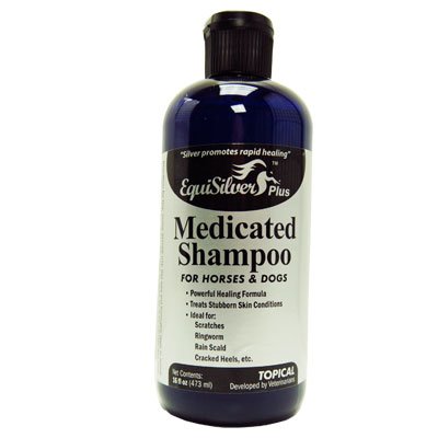 Medicated Shampoo (16 oz) with Chelated Silver, Veterinarian Formulated, Rapid Healing for Several Skin Issues. Cuts, Scrapes, Bacteria and Fungal Infections, Dry Itchy Skin. Silver Kills a Broad Spectrum of Harmful Bacteria