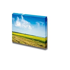 Canvas Prints Wall Art - Fresh Open Field of Tall Grass Under a Clear Blue Sky | Modern Wall Decor/Home Decoration Stretched Gallery Canvas Wrap Giclee Print. Ready to Hang - 12" x 18"