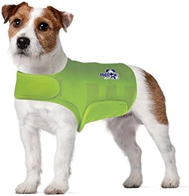 Dog Anxiety Calming Wrap, Medium, Lime