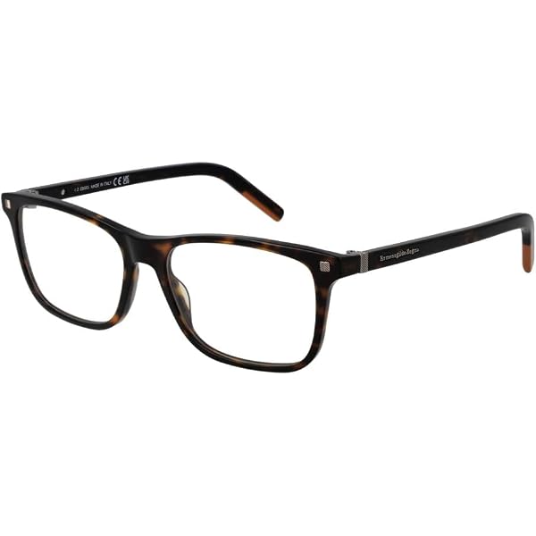 Amazon.com: Ermenegildo Zegna Men's Tortoise Rectangular Eyeglass