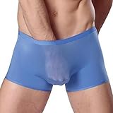 TONSEE Men Sexy U-shaped Ice Silk Boxer Brief Underwear (XXL, Blue)