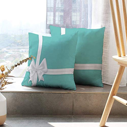 elegant throw pillows silk