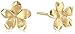 Amazon Essentials 14k Yellow Gold Satin Flower Stud Earrings, (previously Amazon Collection)