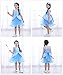 Party Chili Princess Fairy Costume Toddler Girls Birthday Dress Up with Tiara (3T 4T)