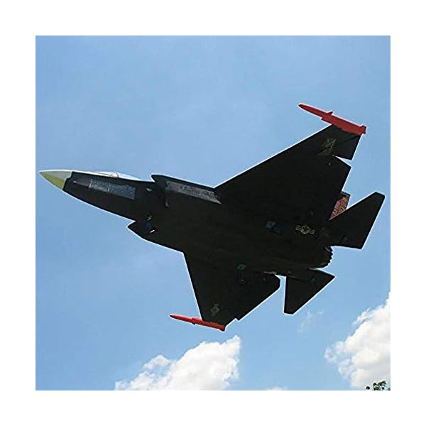 ReedG Ferngesteuertes Segelflugzeugmodell 916mm Spannweite EPS Jet Warbird RC Flugzeug PNP Mit 70mm EDF Einheit (Farbe…