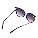Sannysis Retro Womens Metal Frame Golden Leg Cat Eyeglasses Sunglasses (Black)